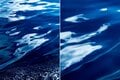 海を撮っただけなのに別世界。海面に潜んでいた不思議な風景【自然と写真を楽しむ日々 vol.2】の画像003
