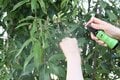 【生後6か月の赤ちゃんから使える天然由来の成分】キャンプやフェスに最適「PERFECT POTION」のアウトドアボディスプレー、第3世代にリニューアル！の画像001
