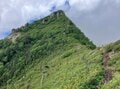 残暑を避けて登りたい「歩き出しから涼しい日帰りがっつりルート」 八ヶ岳・権現岳の画像006
