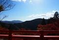 京都「紅葉の奥座敷・パワースポットめぐり」約2時間ハイキング！  源義経ゆかり「鞍馬寺」から、イベント盛りだくさん「貴船神社」錦秋レポの画像010