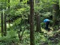 ないなら作る！「究極のシン・サウナ村」建設プロジェクト始動【ユーコンカワイのシン・サウナ村建設記 vol.1】の画像006