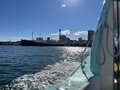 プライベート感ありすぎ！ “フルオーダー可能”な横浜唯一の水上タクシー【SUITAKU】で「波間に揺れる水鳥のバードウォッチング」横浜港を贅沢クルージングの画像007