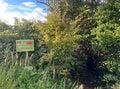 【首都圏近郊】1時間で登れるとは思えない絶景！  房総のマッターホルンこと「伊予ヶ岳」は今からのシーズンがおすすめの画像024