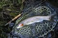 アウトドアと親和性が高い！ 【コンテナホテル】泊での冬の「渓流釣り旅」フライフィッシング ＜埼玉県・群馬県＞の画像001