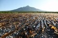 「アウトドアの聖地」北海道・利尻島でSUP・サイクリングほか、バツグン開放感のアクティビティを満喫！の画像001