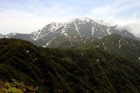 頂上付近は“まだ春の生きもの”が活動中「7月の越後駒ケ岳」動植物観察ガイド【キジ博士のナチュラリスト入門 vol.6】