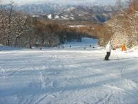 「本当は教えたくない」東京から2時間半の穴場ゲレンデ！  栃木県「エーデルワイススキーリゾート」と周辺の絶品グルメ