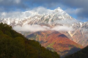 【紅葉登山】「山頂までわずか15分！」 雲海の名所“小熊山”で森歩き＆新雪眩しい北アルプスの山稜を望む“黒沢高原”へ  長野県大町市・2023年