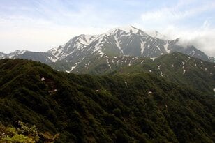 頂上付近は“まだ春の生きもの”が活動中「7月の越後駒ケ岳」動植物観察ガイド【キジ博士のナチュラリスト入門 vol.6】