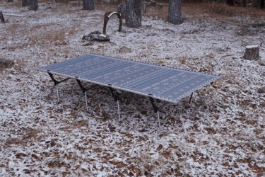 後追い”ギア多発「FUTURE FOX」 人気の「ワイドコット」がアップデート