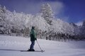 最高の雪質と絶景「焼額山スキー場」が叶えてくれる！  この冬の特別な体験【長野県 山ノ内町・志賀高原】の画像006