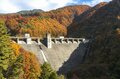 【3年連続全国No.1の紅葉スポット】「落ち葉の絨毯を狙うなら今でしょ！」鮮やかに染まるもみじ湖と“もみじのトンネル”《長野県・箕輪町》2022年の画像001
