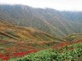秘境！ 絶景！ ここだけは行きたい！【紅葉の山歩き ベスト4】東北編「飯豊連峰・栗駒山・朝日連峰・安達太良山」の画像008
