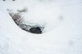 来たる春山シーズン！ 2024年「栂池ロープウェイ早春運行開始日程が決まる」 つがいけマウンテンリゾート 【長野県小谷村】の画像004