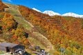 今週末の紅葉見るならどこ？ 名所＆人気スポットから最新情報をお届け「WEEKLY紅葉ニュース」【2023年10月第3週】の画像001