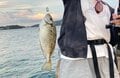SNSでは分からない！「釣り女子たち」の本音トーク【前編】始めたきっかけ・知られざる「パプニング＆苦労」のリアル！  聞いてみたの画像007