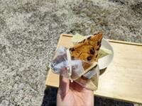 アウトドアにも持っていきたい「ローソンスイーツ」食べやすい「片手＆シェアOK」3選！  新作＆人気商品「実食レポ」