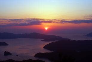 サンセットが美しすぎる！ 世界自然遺産「奄美大島」厳選「夕日スポット2選」からの絶景！ 希少なマングローブ、アマミノクロウサギにも会える？「現地レポ」