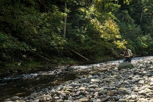 【渓流釣り】まるで宝石のように美しい渓流魚！  北の大地でオショロコマに出会う  北海道・2024年