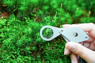 涼を求めて奥入瀬へ！ “サイクリングと渓流散策”  苔むす奥入瀬を五感で感じて癒される「奥入瀬渓流ホテル by 星野リゾート」【青森県・十和田市】