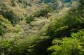【渓流釣り】新緑キラめく渓谷へ！  歴史ある「塩原温泉」を流れる箒川キャッチ＆リリース区間でフライフィッシング  栃木県｜2026年の画像001