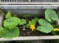 山小屋とゴミの処理問題「こんなに頭をひねってます！」【わたし、山小屋はじめます vol.57】の画像004