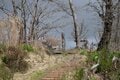 【首都圏近郊ハイキング】5月でもまだ花見ができる山「西丹沢・檜洞丸」への画像006