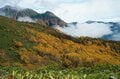 温泉＆紅葉散策【界 奥飛騨】で感じる北アルプスの秋 「飛騨高山」の伝統にもふれ、その魅力はさらに深まっていくの画像038
