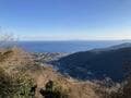【見ごろ2月から】4,000本の梅が彩る「幕山公園・梅の宴」＆2時間半のハイキング「幕山」早春の絶景レポ！【神奈川県足柄下郡湯河原町】の画像004
