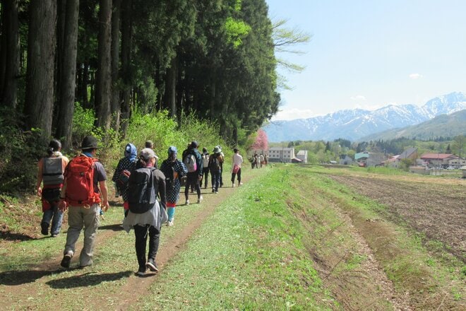 【長野県小谷村】歴史ある交易路を「塩の道祭り」で歩く！  古道の面影が残る“石畳” や 牛も泊まった“牛方宿”   ゴールで待つのは「北アルプス」の大パノラマ＜後編＞の画像017