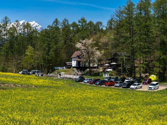 【ゴールデンウィーク】菜の花畑の奥に北アルプスがそびえる絶景！ 程よく賑わう穴場的なお花見スポット！  中山高原・長野県大町市 2022の画像007