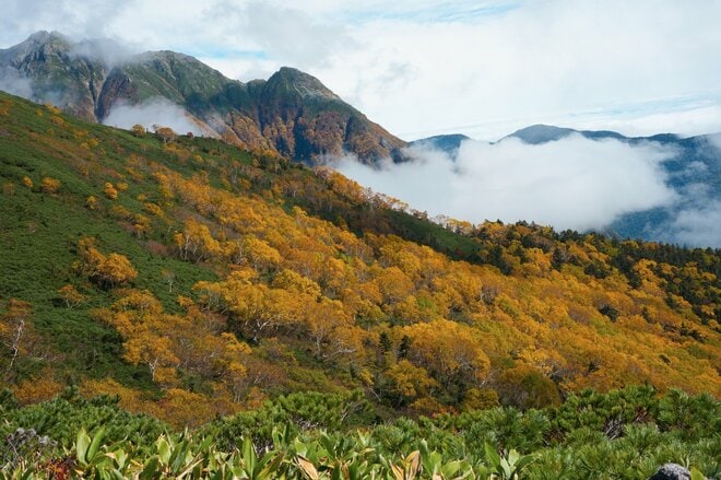 温泉＆紅葉散策【界 奥飛騨】で感じる北アルプスの秋 「飛騨高山」の伝統にもふれ、その魅力はさらに深まっていくの画像038