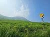 夏こそ見たい「阿蘇山」の絶景！  1000年以上守られてきた、日本一の面積を誇る「大草原」＆世界有数の大カルデラ・圧巻の中岳火口