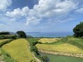 「海と山」の絶景が数珠つなぎ！「元乃隅神社・千畳敷・二位ノ浜」… 山口県・長門市油谷半島の全長18.5km「ながとトレイル」特選スポット6の画像002
