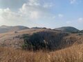 金色の草原に広がる「ひつじ」とは？「日本三大カルスト」福岡県・平尾台の魅力の画像002