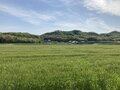 兵庫・播磨のローカル線で独特の雰囲気を持った駅をめぐる【関西鉄道路線周辺曼荼羅 vol.10「北条鉄道北条線」粟生駅～田原駅間】の画像006