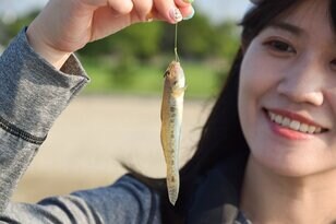 「はじめての釣り」に最適「ハゼ」の狙い方！  手軽で簡単なエサ＆ルアー「道具・仕掛け」入門イラスト解説！