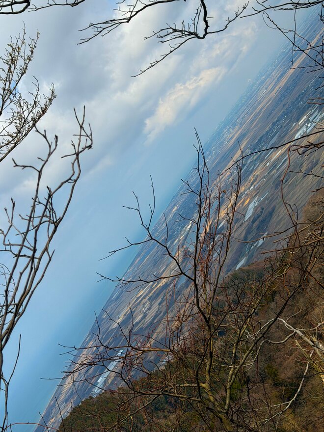 【ハイカー女子のレポ】雪解けの奇跡に出会う山へ！  角田山で出会う雪割草とカタクリ春　新潟県｜2026年の画像004