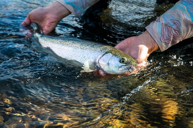通年で渓流釣りが楽しめる！  山里を流れる「五十嵐川」のキャッチアンドリリース区間【フライフィッシング】 新潟県三条市・2025年の画像008