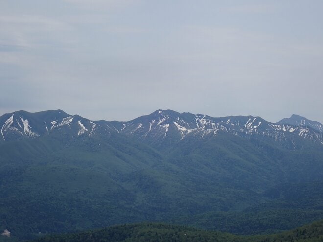 東大雪の名峰、石狩岳へ至る急登のシュナイダーコースへ【石狩岳】 2025年・北海道の画像004