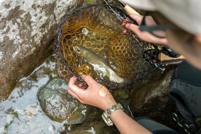 【渓流釣り】夏がやって来た！「そろそろ山のイワナが釣りたいな」 ビギナーフライフィッシャーが一匹釣るまで  長野県｜2026年の画像009