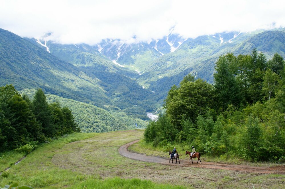白馬の大人気スポット「白馬岩岳マウンテンリゾート」で絶景ホーストレッキング！ 新展望エリア「白馬ヒトトキノモリ」の こだわりカフェで超贅沢時間