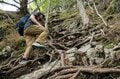 【6月におすすめしたい大展望の難読山】西上州の最高峰「御座山」って読めますか？  気になるシャクナゲの咲き具合もレポートの画像009