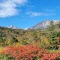【2024年10月 第1週】今週末の紅葉見るならどこ？  名所＆人気スポットの最新情報をお届け「WEEKLY紅葉ニュース」の画像003