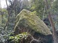 巨石マニア集まれ！  春の山をのんびり歩いて“3時間半” 大阪近郊の秘境「巨石伝説アドベンチャートレイル」【里山アドベンチャー！ソトアソ日和 vol.1】の画像006