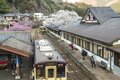『渡良瀬川』桜咲く川辺にカゲロウ舞う季節！ 癒しのお花見フィッシング【渓流釣り】群馬県の画像004