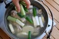 冬の定番 ”韓流鍋” をキャンプにも！  ダッチオーブンで作るホロッホロ「タッカンマリ」【季節の外ごはんvol.30】の画像005