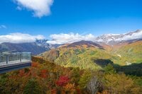 【長野県・白馬岩岳マウンテンリゾート】白馬観光の“黄金スポット”が今やインバウンドもこぞって繰り出す！ 世界レベルの「三段紅葉」絶景テラス