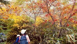 秋山登山の思いもよらないリスクとは！？  初心者だった自分の実体験＆今は絶対にやっている対策！  4選レポート