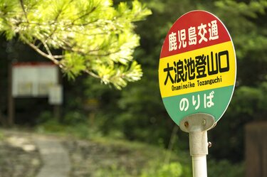 霧島の春はハイライト！ ピンクの絨毯“ミヤマキリシマ”を纏った
